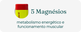 5 Magn&eacute;sios